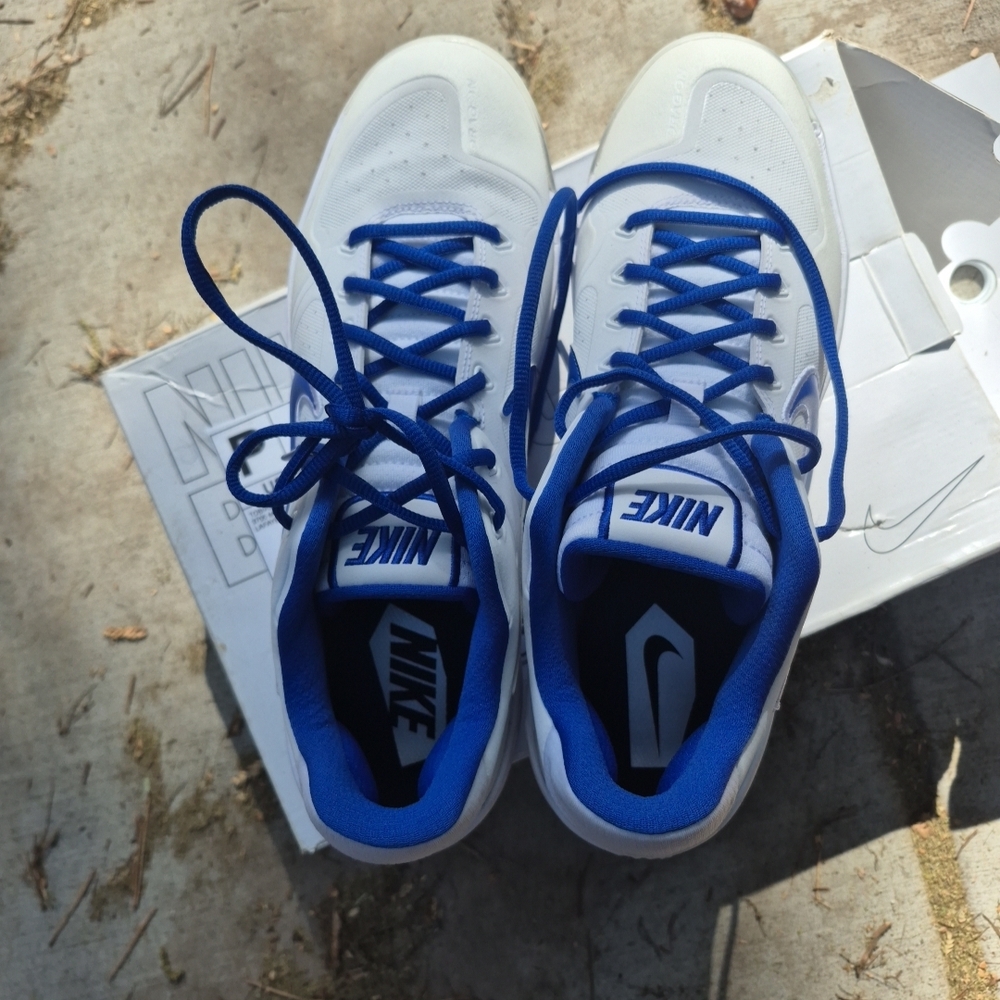 Nike Men’s White and Blue Low-Top Sneakers
